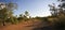 Red Outback Dirt Road, Tropical Bush