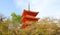 Red pagoda in Kyoto