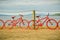 Red painted bicycles propped against the fence near Taupo lake