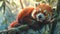 Red panda in bamboo tree a detailed and vibrant depiction of a charming moment in nature