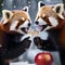 A red panda and a fox making a toast with sparkling apple cider in a snowy forest3