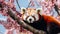 Red panda peacefully lounges on a tree branch, AI-generated.