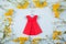 Red paper origami dress on hanger surrounded with yellow and white little flowers on light mint background