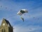 Red parachute is in the amazing blue sky. Military parachutist is landing with big bag at SAINTE MERE L`EGLISE, FRANCE, Normandy