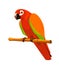 Red parrot on a perch