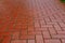 Red paving slabs after rain surface abstract