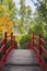 Red pedestrian bridge in Botanical Garden of Cluj, Romania