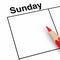 Red Pencil over Sunday Calendar Scheduler Cell with Empty Space for Your Design. 3d Rendering