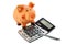 Red pencil, piggy bank and calculator