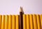 Red pencil standing out from crowd of plenty identical black fellows on white background. Leadership, uniqueness, independence,