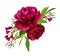 Red peonies and chamelaucium flowers in a floral arrangement