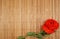 Red peony poppy papaver on a bamboo background .