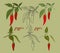 red pepper on a branch with leaves, outline drawing, handmade