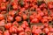 Red Pepper Capsicum In Market
