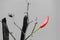 Red pepper on dry branches on gray background