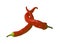 Red pepper embrace isolated