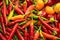 Red pepper pods mini hot and round bright vegetable pattern