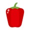 Red pepper vegetable food flat vector illustration.