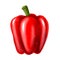 Red pepper vegetable. Realistic illustration.
