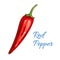 Red pepper vegetable vector isolated sketch icon