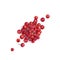 Red Peppercorn Seeds or Pink Pepper Corns   Illustration