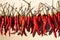 Red peppers hanging to dry in sunshine outside a house