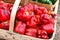 Red Peppers in a Wooden Basket at the Farmer`s Market