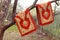 Red persian rugs hanging on the old apple tree for dusting