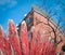 Red picket fence warped fisheye