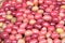 Red pickled olives on a traditional Moroccan market, Rabat, Moro