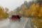 Red pickup truck drives in rain road dotted with autumn colored