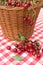 Red Picnic Cloth With cherry