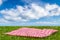 Red picnic cloth. Red checked picnic blanket on a meadow with daisies in bloom and cloudy sky. Beautiful backdrop for your product