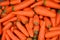 Red pile of carrots