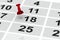 Red pin marking important day on calendar. 3D illustration