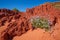 Red Pindan Cliffs at James Price Point, Kimberley, Western Australia