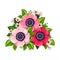 Red and pink anemone flowers. Vector illustration.