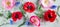 Red and pink poppy and blue cornflower on a light green background. Flowers background