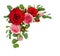 Red and pink rose flowers with eucalyptus leaves in a corner arr