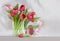 Red and pink tulips in a vase - shiny reflective b