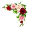 Red, pink and white roses. Vector corner background.