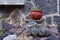 Red planter over stone in Cuernavaca, Mexico