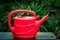 Red plastic watering can