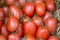 Red Plum Tomatos on Market Stall; Majorca