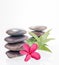 Red plumeria flower, bamboo leaves and river stones