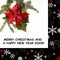Red poinsettia and fir matural tree on white background. Frame in black with snow and christmas ornaments. Merry Christmas and