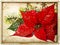 Red poinsettia flower with christmas tree branch