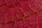 Red Poinsettia leaf