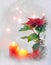 Red poinsettia white candle yellow two snow window green leaves bush plant lights