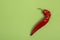 Red pointed pepper on a green background
